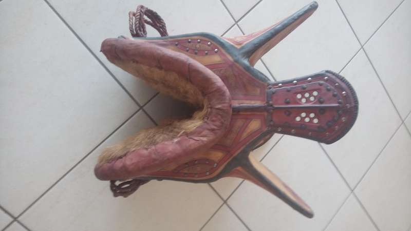 Camel saddle