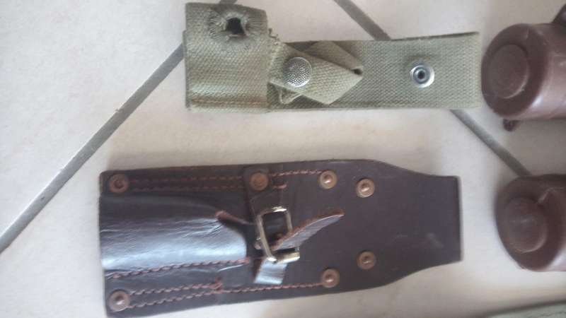 Sadf collection