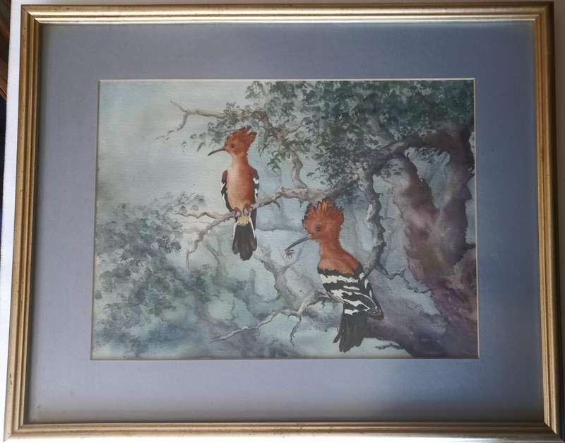 Framed Watercolour Painting of Hoep Hoeps Signed by Artist