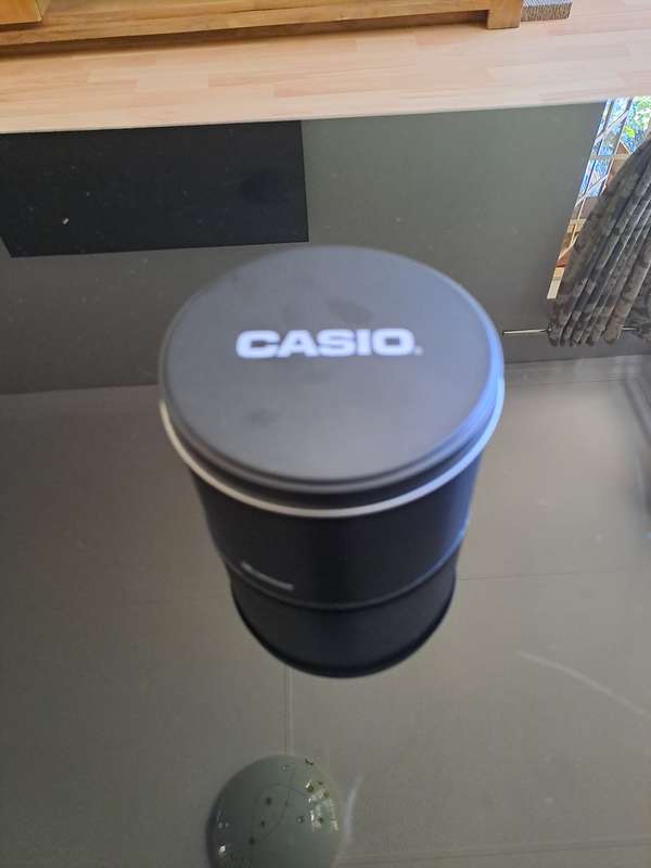 Casio Watch MW240