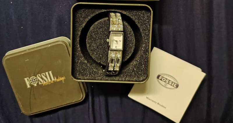 Fossil Watch F2