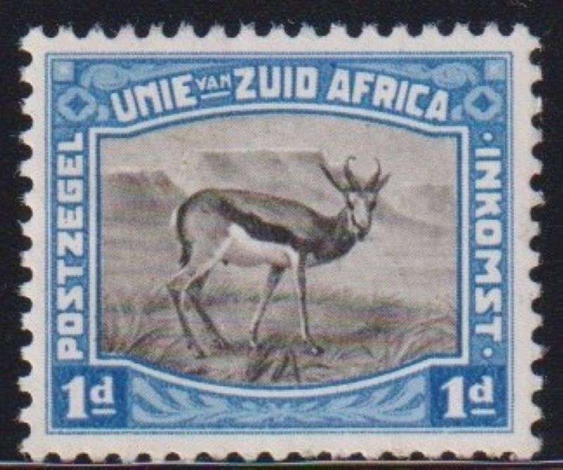 SOUTH AFRICA HARRISON SPRINGBOK ESSAY IN BLUE & BLACK