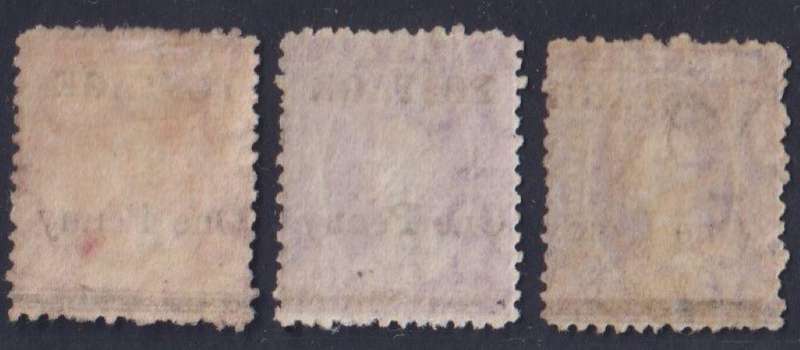 NATAL LOVELY QVIC-EDWARD V11 HINGED MINT LOT