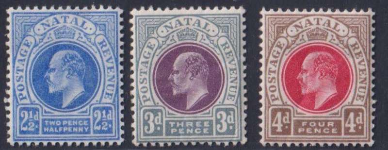 NATAL LOVELY QVIC-EDWARD V11 HINGED MINT LOT
