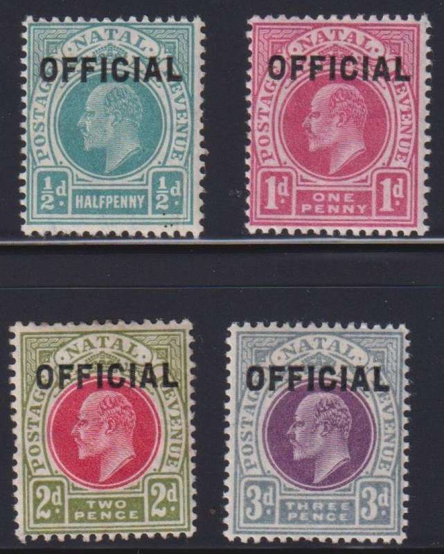 NATAL 1904 KEV11 OFFICIALS FINE HINGED MINT CV R3000