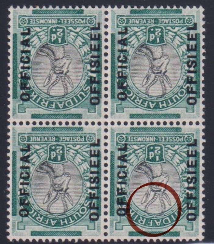 SA 1930 1/2d WITH "COBWEB" VARIETY UNMOUNTED  MINT- SACC O12v UNLISTED
