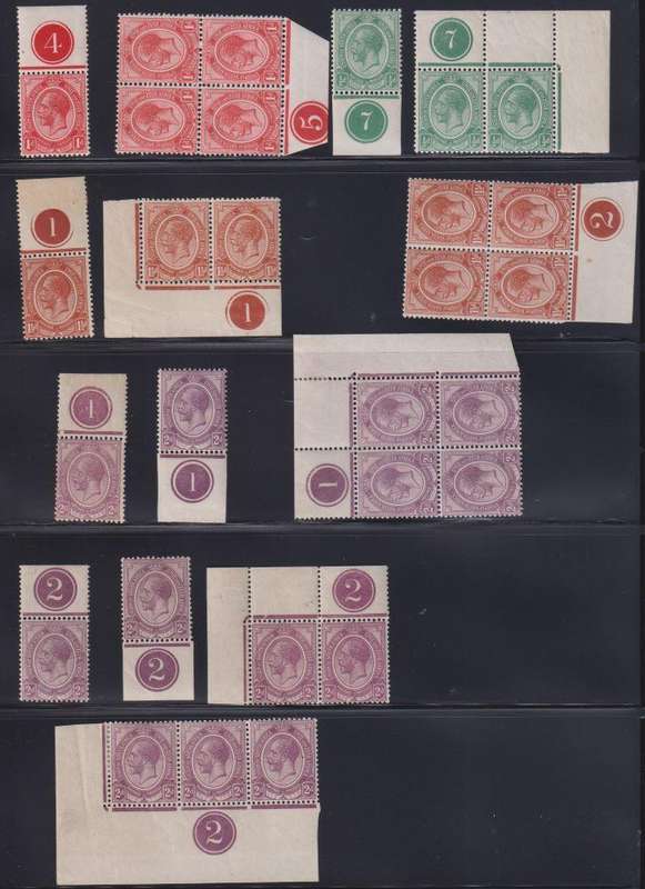 SA KINGSHEADS CONTROL COLLECTION - A LOVELY LOT
