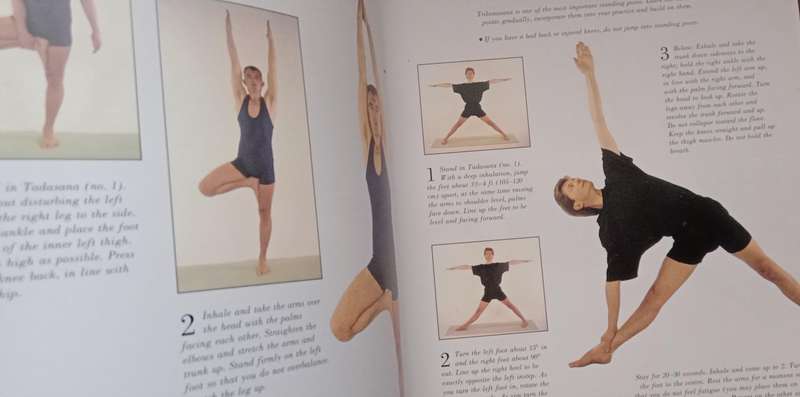 How to Use Yoga - Mira Mehta
