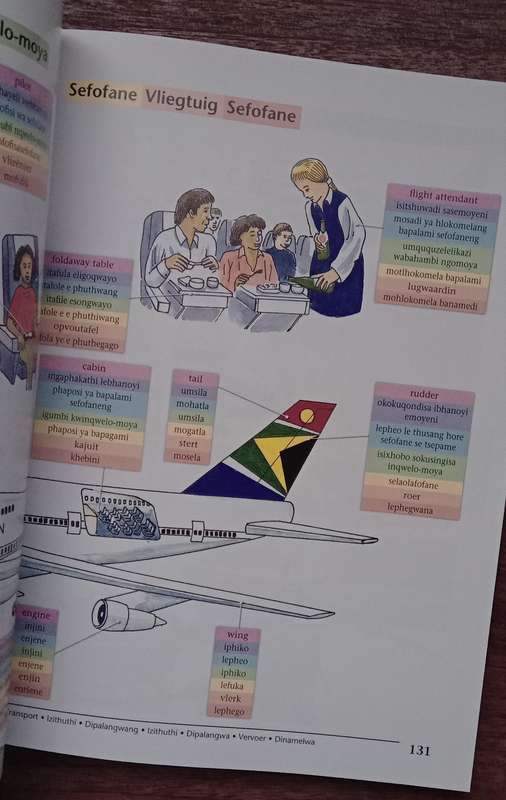 Multilingual illustrated dictionary: Eng., IsiZulu, Sesotho, IsiXhosa, Setswana, Afrikaans, Sepedi