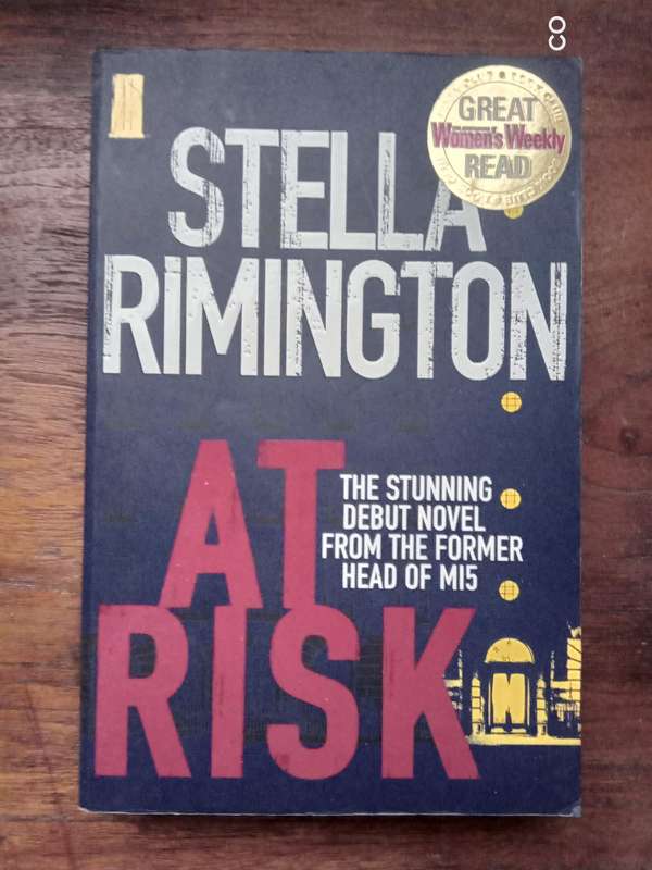 At Risk - Stella Remington