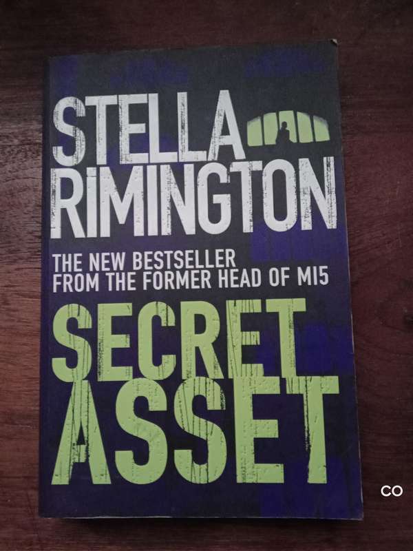 Secret Asset - Stella Remington