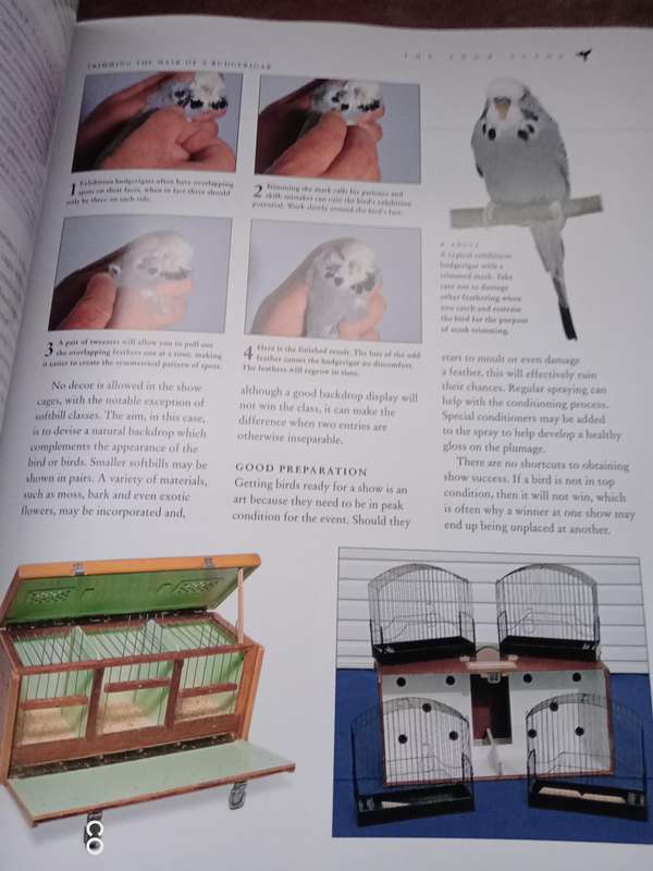 A Complete Practical Guide to Caged & Aviary Birds - David Alderton