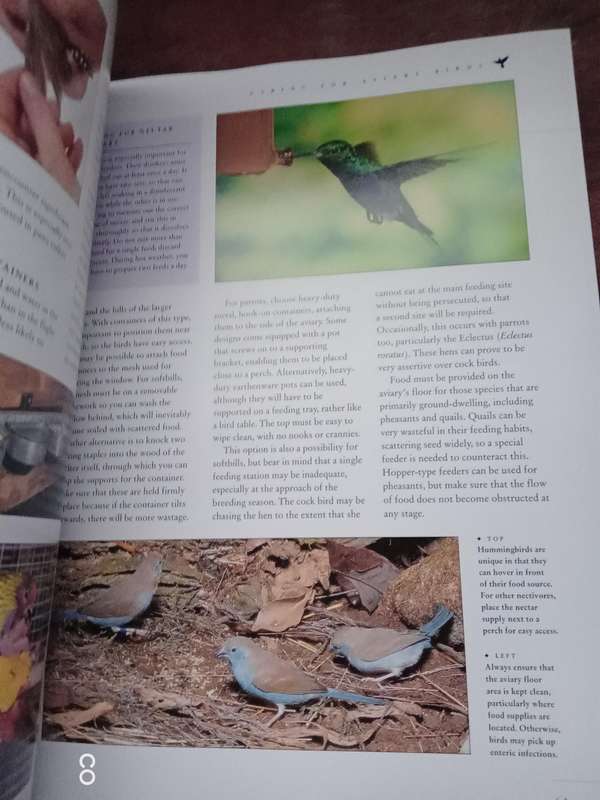 A Complete Practical Guide to Caged & Aviary Birds - David Alderton