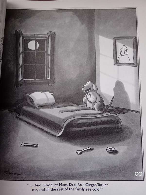The Far Side: Gallery Five - Gary Larson