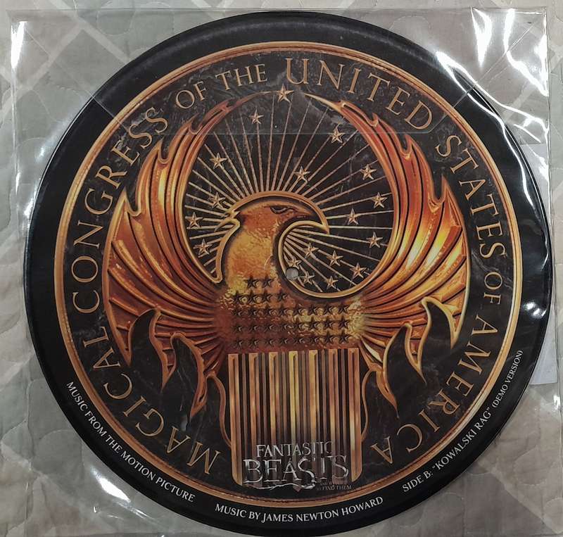 Fantastic Beasts And Where To Find Them - 12" Picture Disc ( James Newton Howard / Harry Potter)