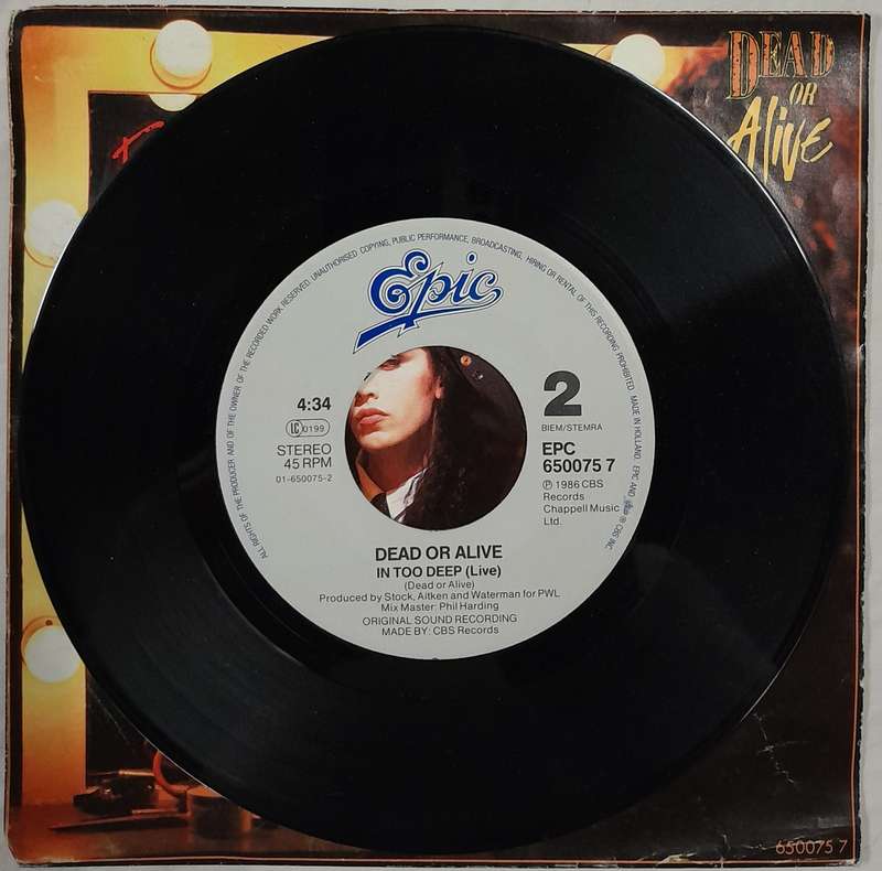 Dead or Alive - Brand New Lover 7" single (Holland pressing)