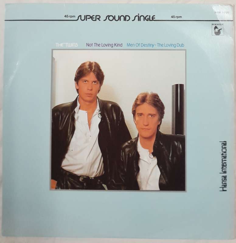 The Twins - Not The Loving Kind 12" maxi single (VG+)