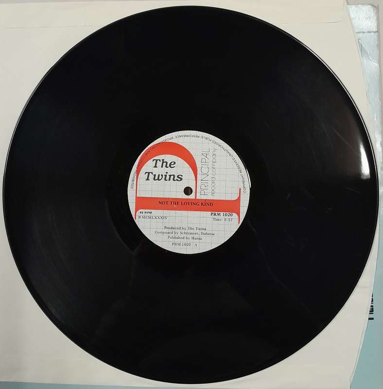 The Twins - Not The Loving Kind 12" maxi single (VG+)