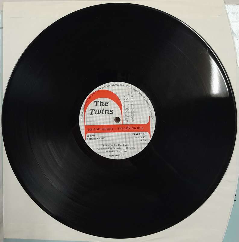 The Twins - Not The Loving Kind 12" maxi single (VG+)