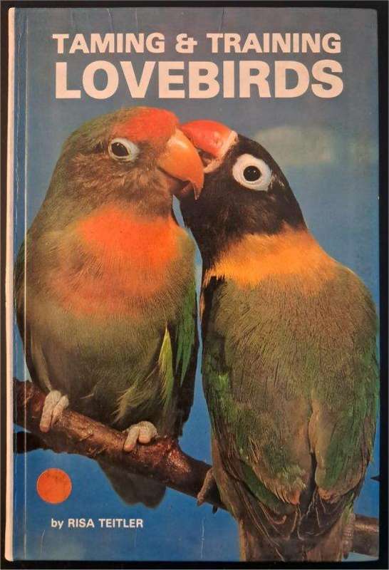 Taming and Training Love Birds