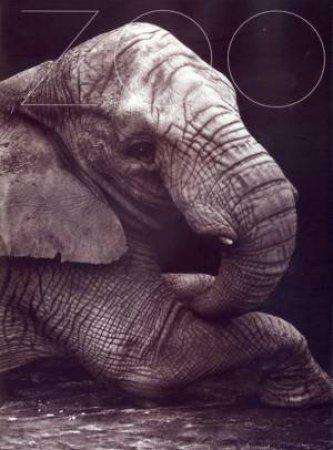 ZOO by Gary Heery