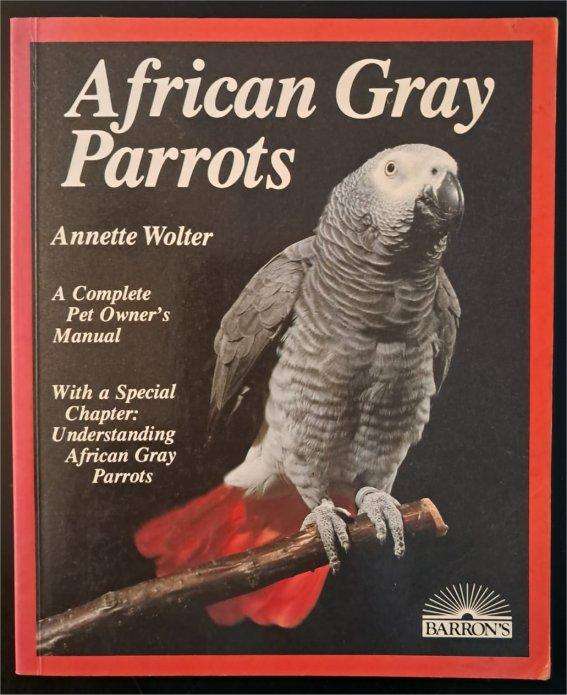 African Grey Parrots