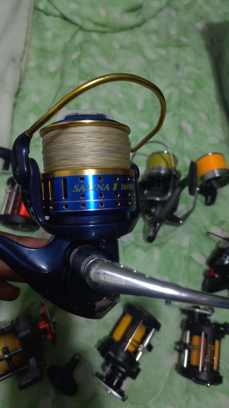 REELS AND BRAID LOT