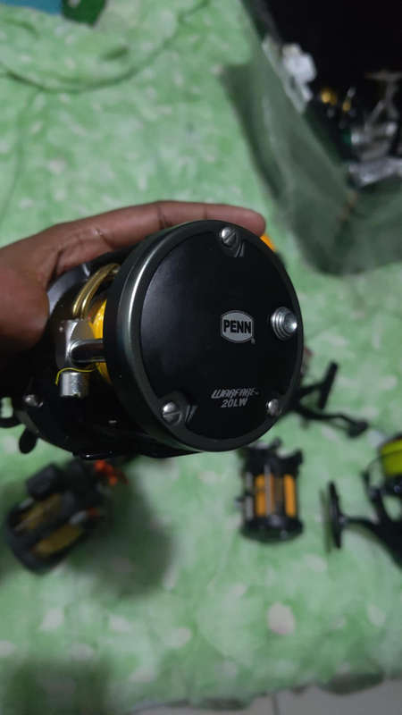 REELS AND BRAID LOT