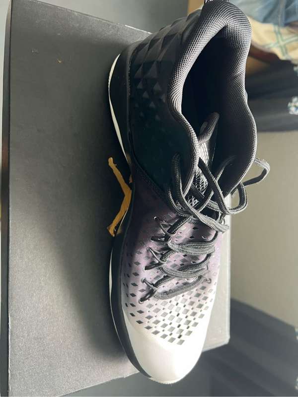 Jordan Extra Fly Sneakers