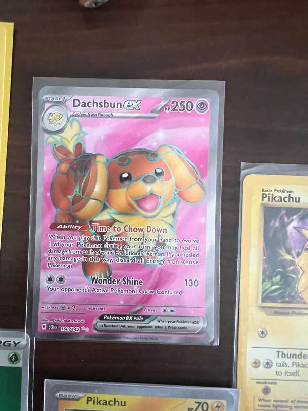 Pokémon Bundle