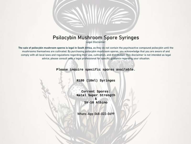 Albino Mushroom Spores - SV-10