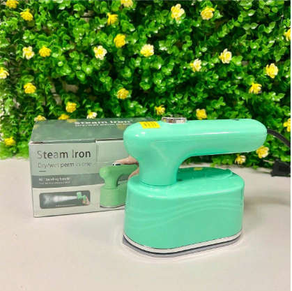 Steam Iron