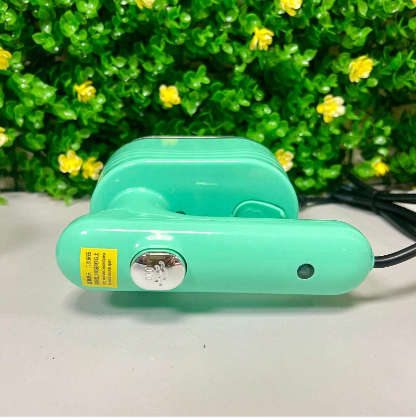 Steam Iron