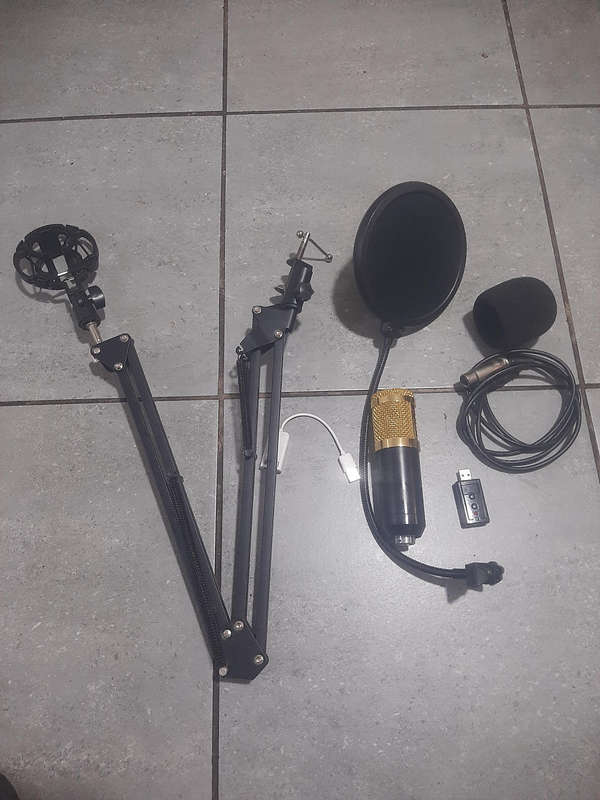 Podcast mic