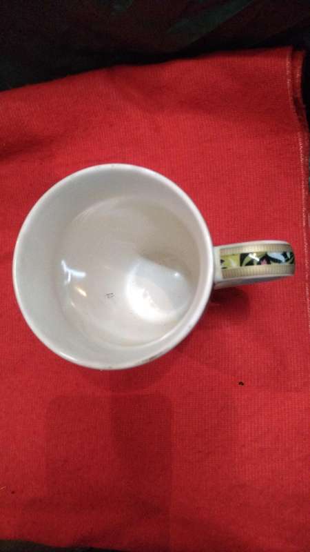 Mug by Maxwell & Williams. William Morris Golden lily