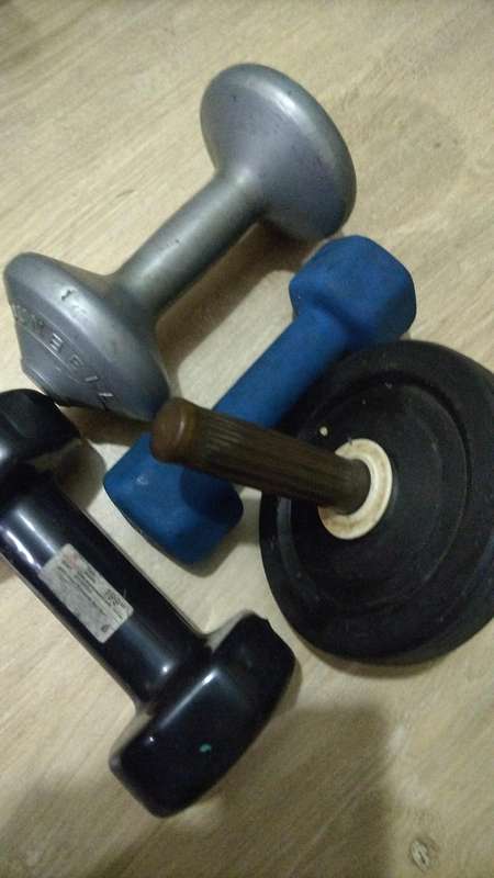 Lot of "dumbell" weights and Ab training wheel to clear