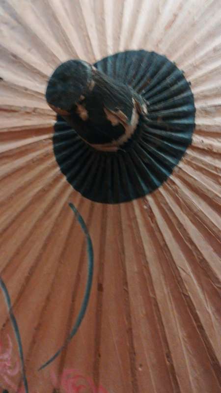 Vintage Asian Bamboo & Rice paper parasol umbrella