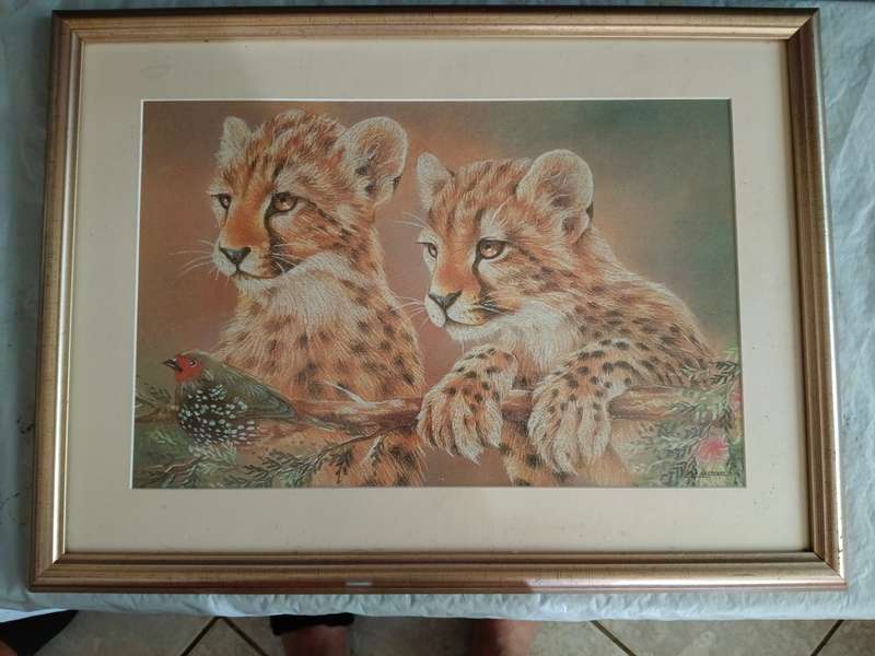 1 x picture of cheetahs in frame
