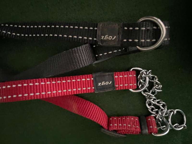Dog Collars : Rogz collars - take a look : 2 collars and one harness  (sml to med )- good condition