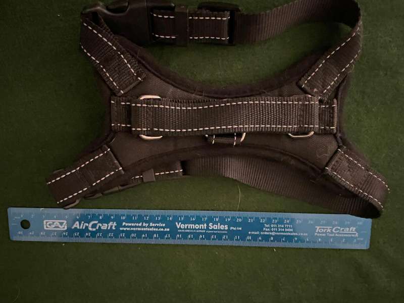 Dog Collars : Rogz collars - take a look : 2 collars and one harness  (sml to med )- good condition