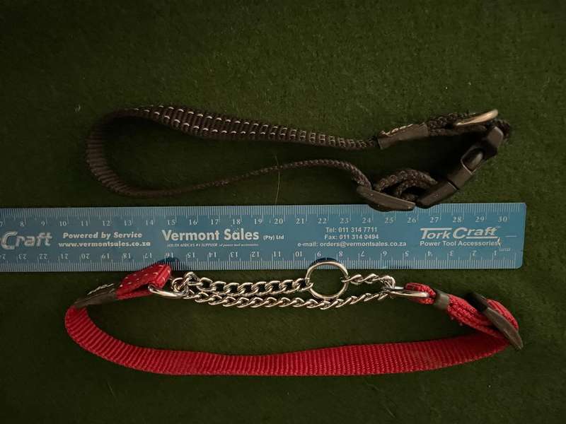 Dog Collars : Rogz collars - take a look : 2 collars and one harness  (sml to med )- good condition