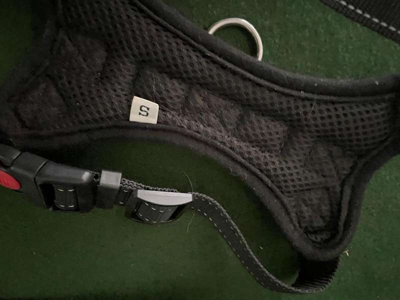Dog Collars : Rogz collars - take a look : 2 collars and one harness  (sml to med )- good condition