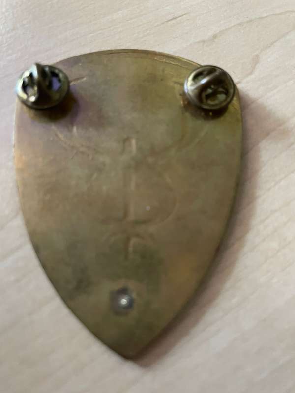 SADF SAMS 1 Field Ambulance Unit Shoulder Flash