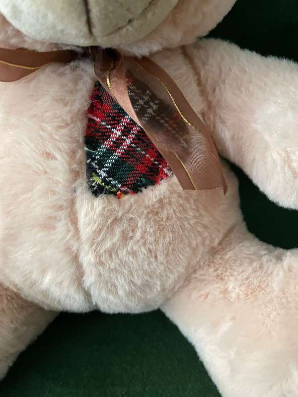 Teddy Bear - Fluffy Tartan Teddy Beer - In Awesome condition