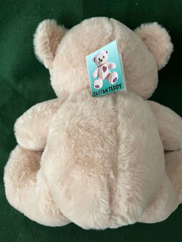 Teddy Bear - Fluffy Tartan Teddy Beer - In Awesome condition