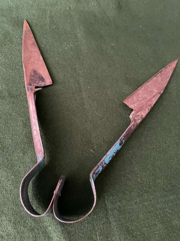 Vintage livestock : Really OLD Karoo Sheep Shearers Shears - great collectors item