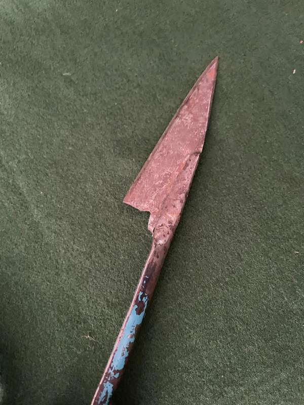Vintage livestock : Really OLD Karoo Sheep Shearers Shears - great collectors item