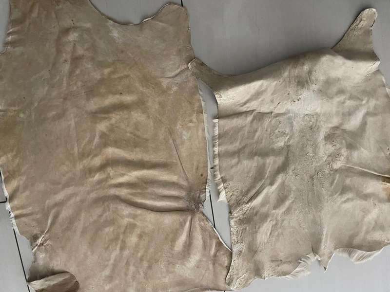 Skins : Springbok and Impala skins - nice condition - great for around the house