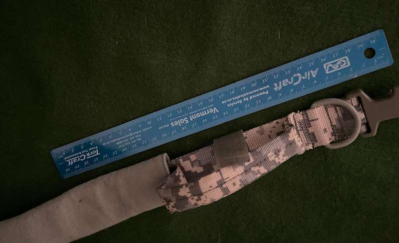 Army Dog Collar : US military dog collar - great condition - never been used