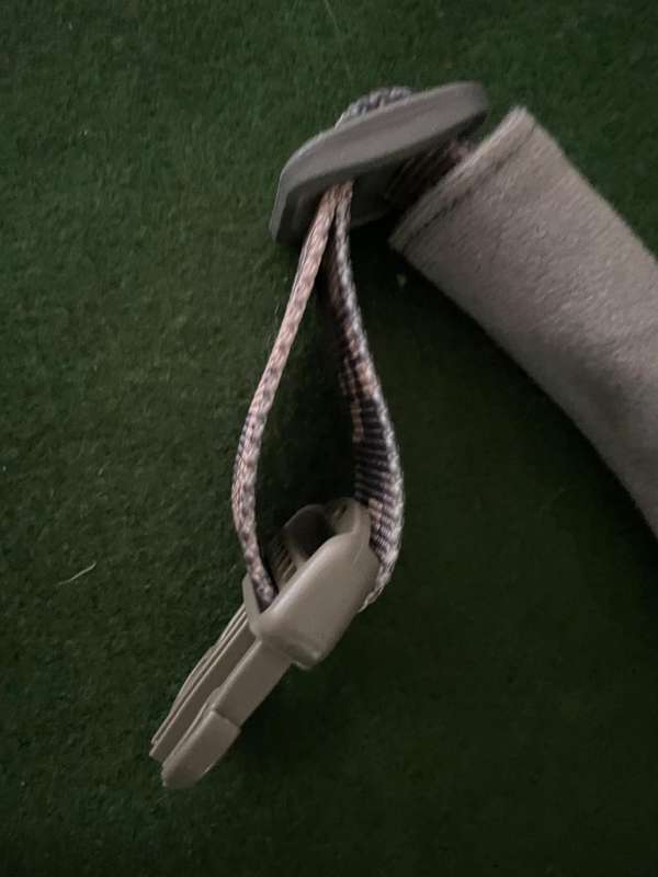 Army Dog Collar : US military dog collar - great condition - never been used
